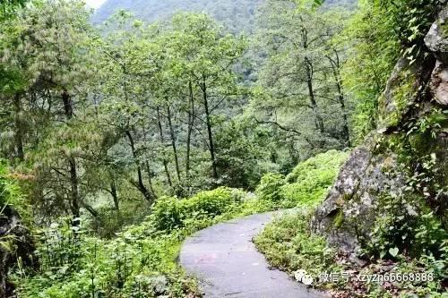 淹鸭蛋怎么淹好吃又流油？免费问好吗？游戏画面