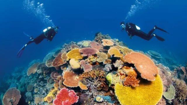 海盗的荣誉